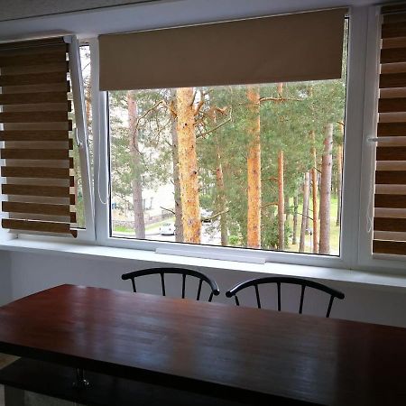 Light One Room Apartment Wisaginia Zewnętrze zdjęcie