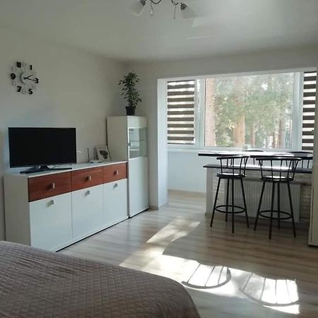 Light One Room Apartment Wisaginia Zewnętrze zdjęcie