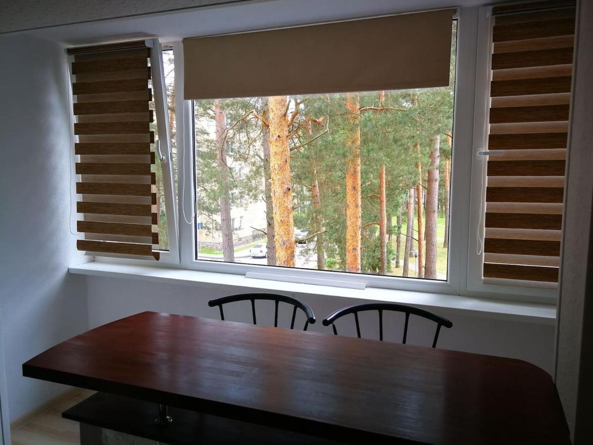 Light One Room Apartment Wisaginia Zewnętrze zdjęcie