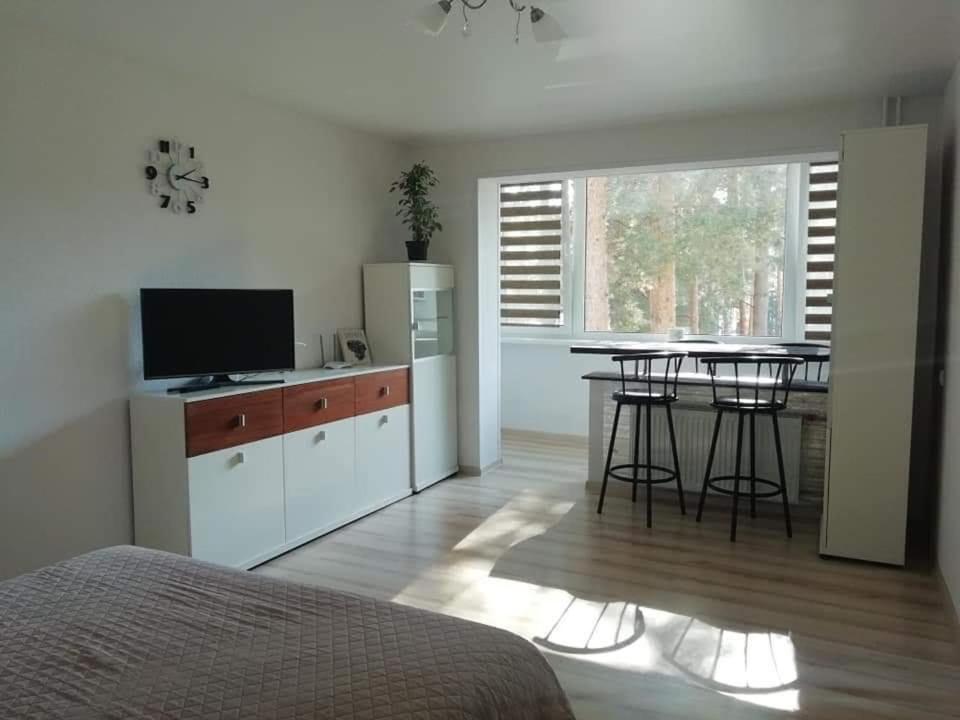 Light One Room Apartment Wisaginia Zewnętrze zdjęcie