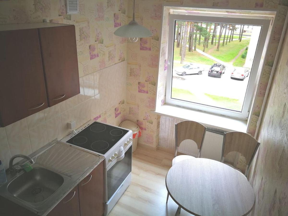 Light One Room Apartment Wisaginia Zewnętrze zdjęcie