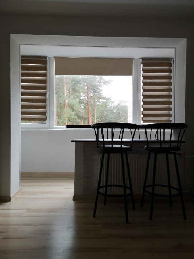 Light One Room Apartment Wisaginia Zewnętrze zdjęcie